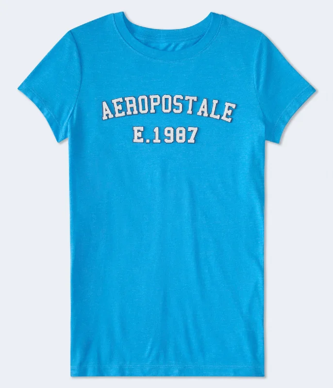Aeropostale Logo Appliqué Graphic Tee Cozy Warm Stylish